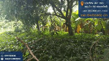 ขายที่ดิน 397 ตรว. ถมแล้ว สุขุมวิท 50 ซอยสวัสดี พื้นที่สีส้ม บรรยากาศดี เหมาะสร้างบ้านหรู ซื้อลงทุน โทร 0999568316
